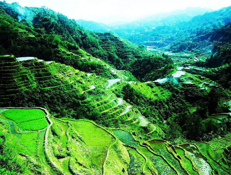 Terraced Rice Fields — Green, Serene, Morning, Photograph, Mountains, Greenery, Hills