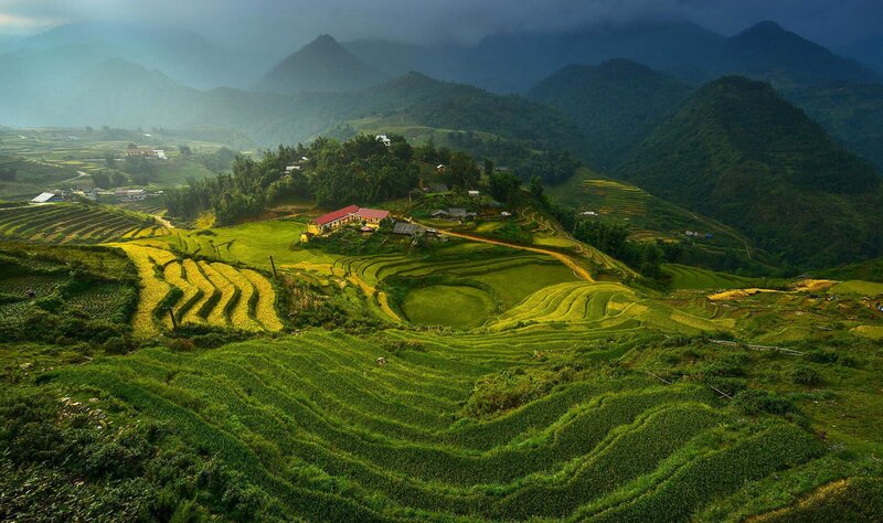 Terraced Rice Fields — Green, Serene, Morning, Photograph, Mountains, Village, Hills