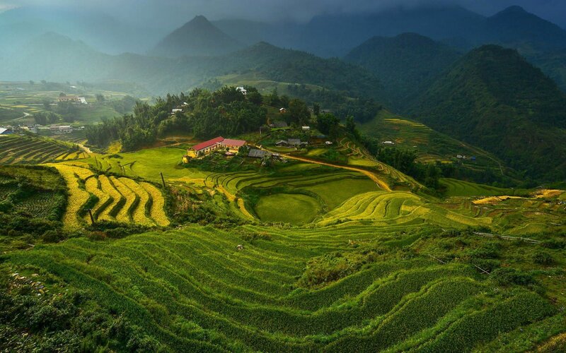 Terraced Rice Fields — Green, Serene, Morning, Photograph, Mountains, Village