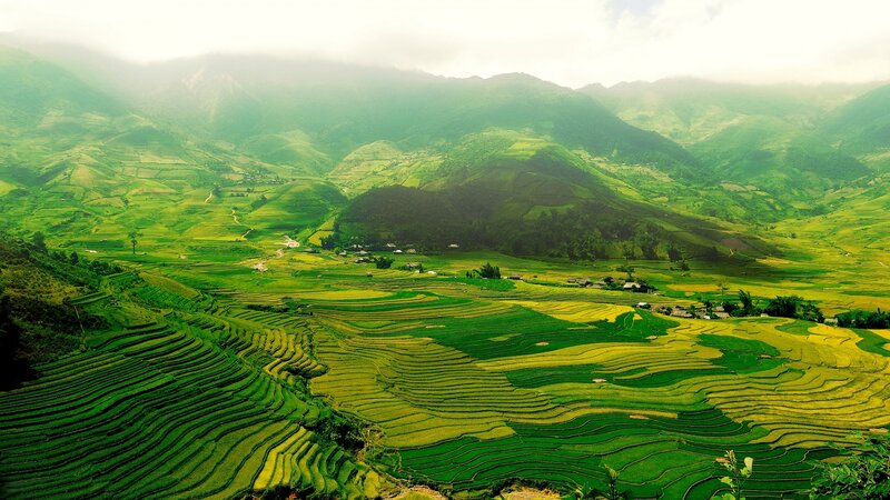 Terraced Rice Fields — Green, Serene, Morning, Photograph, Mountains, Villages, Clouds