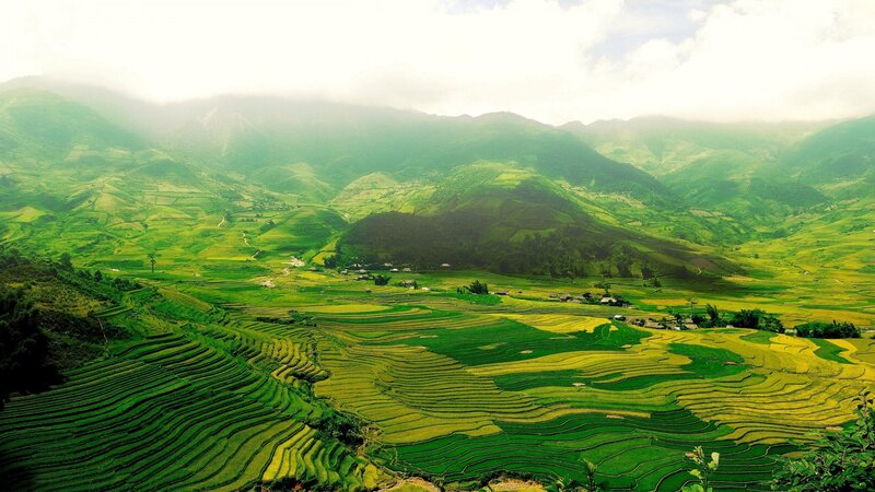 Terraced Rice Fields — Green, Serene, Morning, Photograph, Mountains, Villages