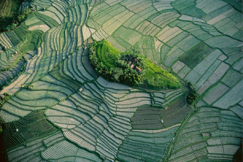 Terraced Rice Fields — Green, Serene, Morning, Photograph, Village, Hills