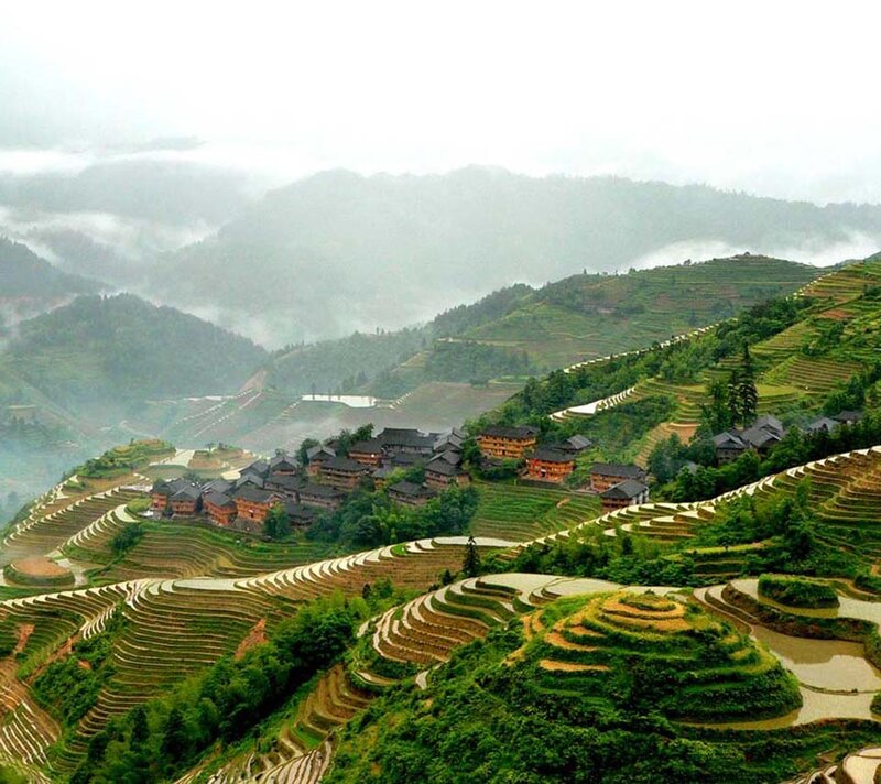 Terraced Rice Fields — Green, Serene, Morning, Photograph, Village