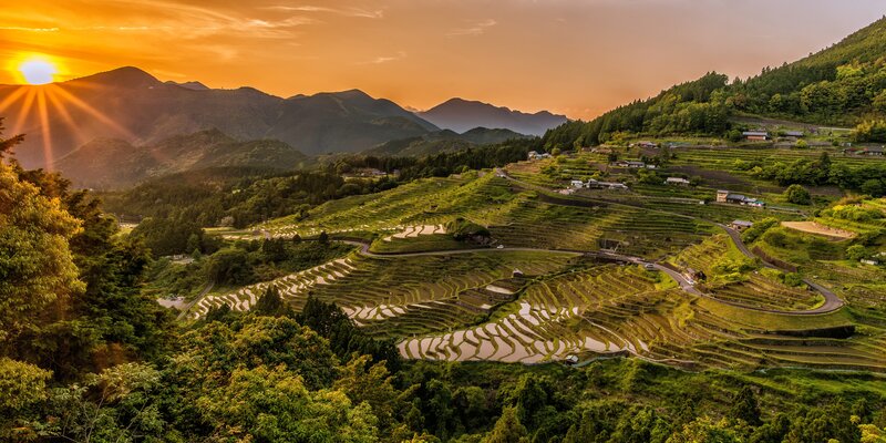 Terraced Rice Fields — Green, Serene, Sunrise