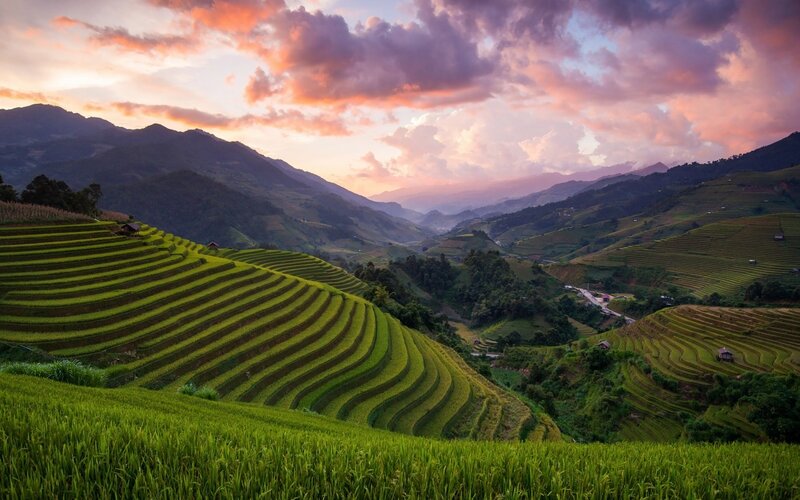 Terraced Rice Fields — Green, Serene, Sunset, Photograph, Mountains