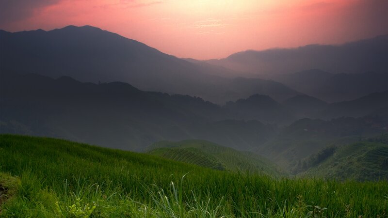 Terraced Rice Fields — Green, Serene, Sunset, Photograph