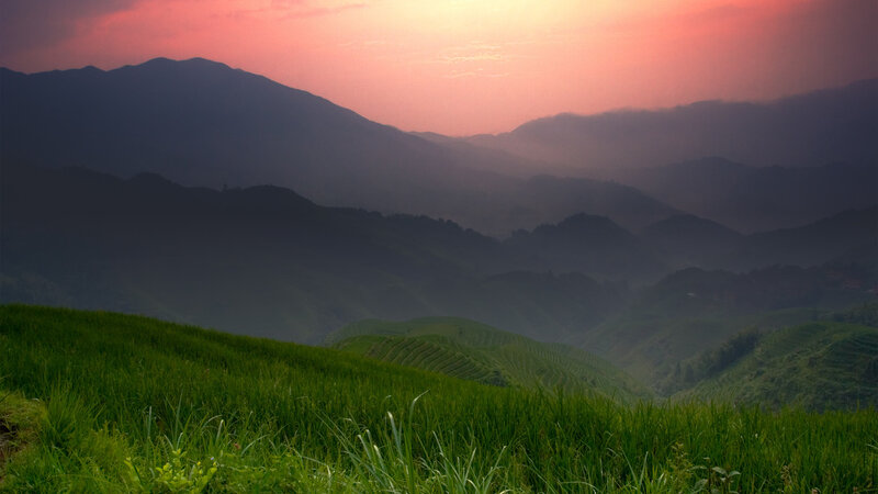 Terraced Rice Fields — Green, Serene, Sunset