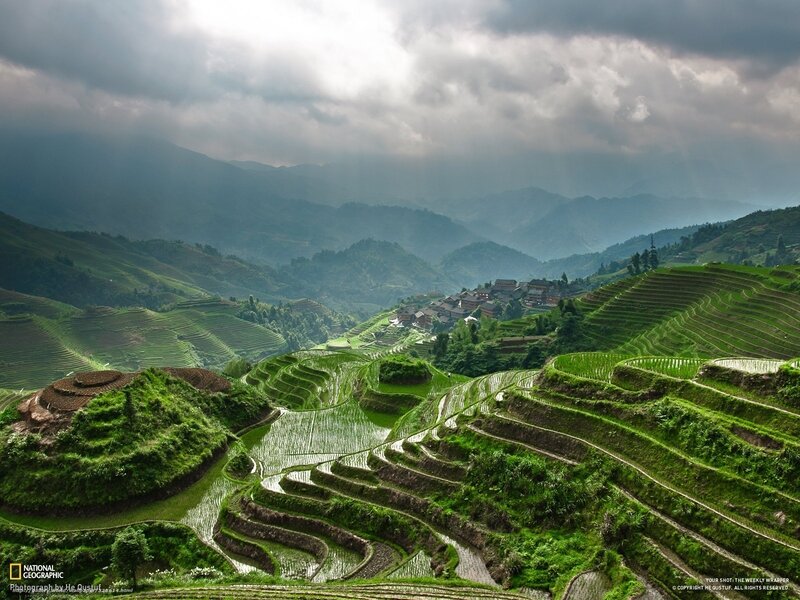 Terraced rice fields in China