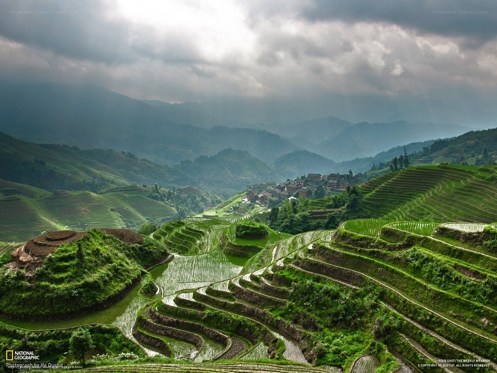 Terraced rice fields in China