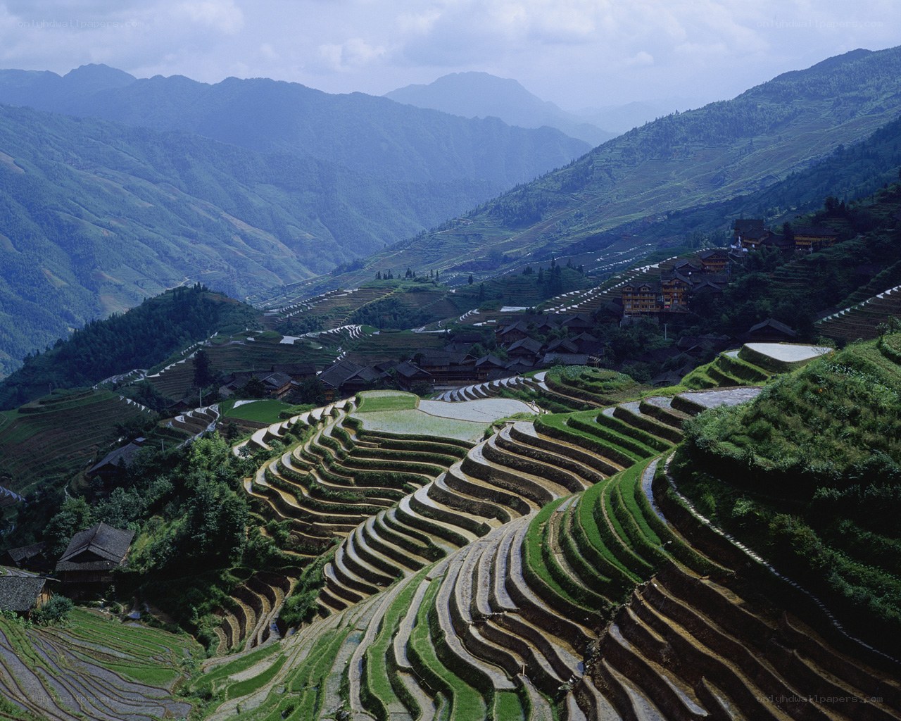 Terraced rice fields in mountain valley