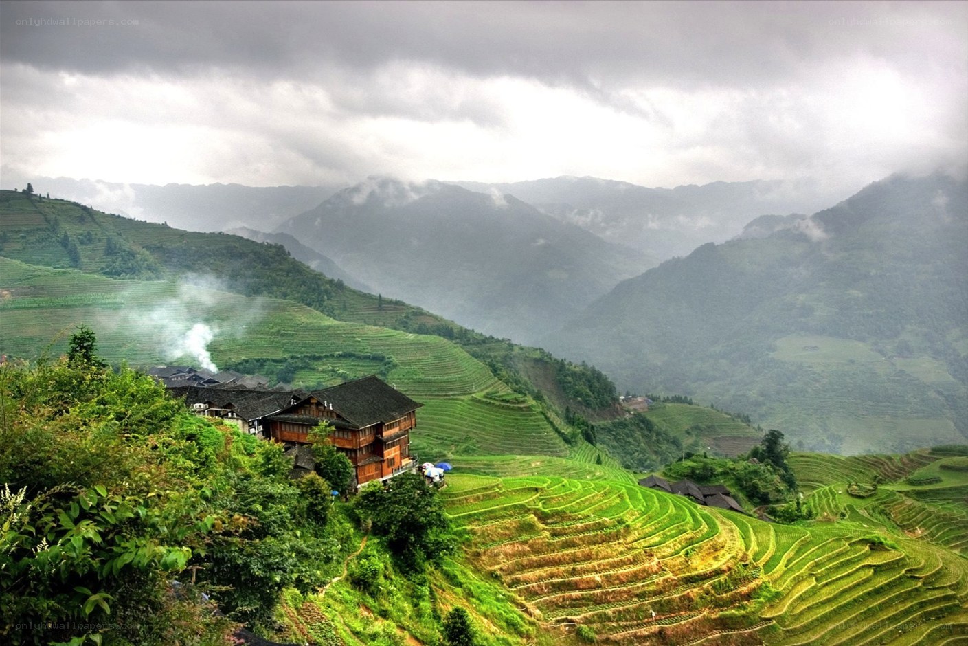 Terraced rice fields in mountain village