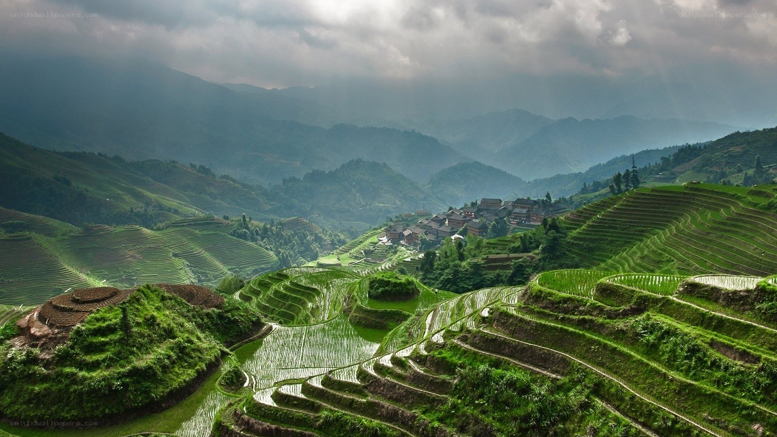 Terraced rice fields in mountains