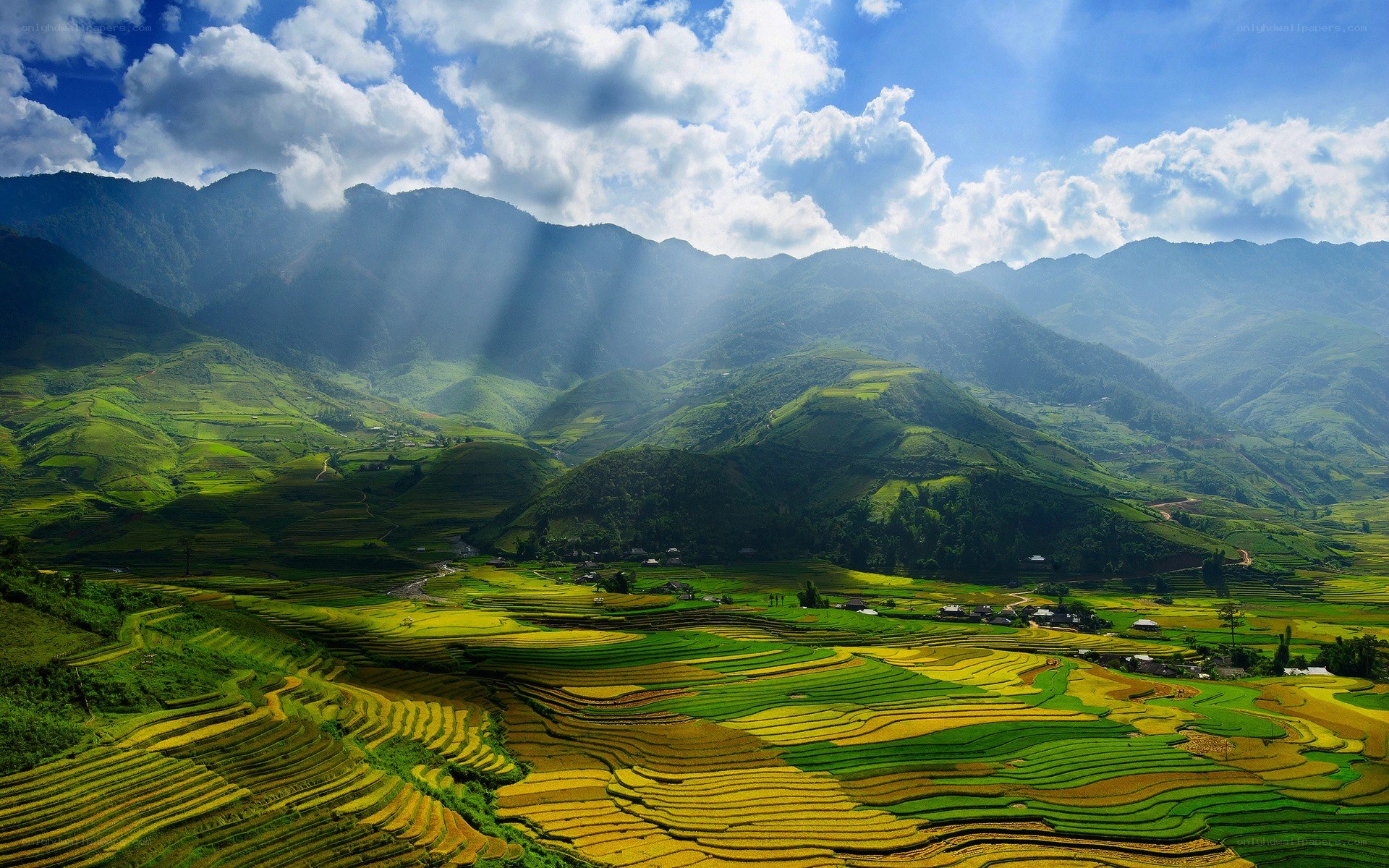 Terraced rice fields in mountains