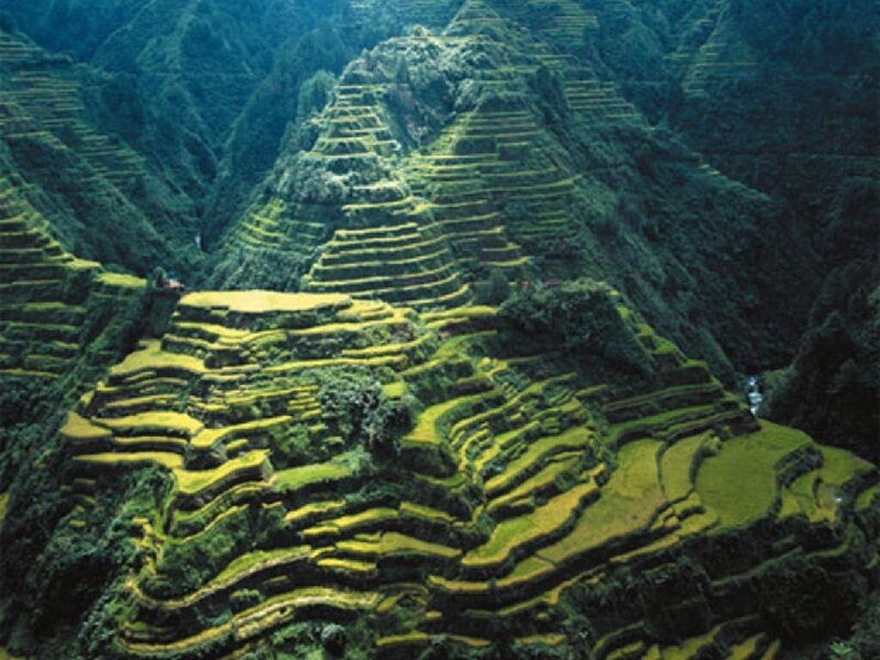Terraced rice fields in mountains