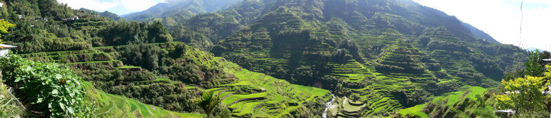 Terraced rice fields in the Philippines