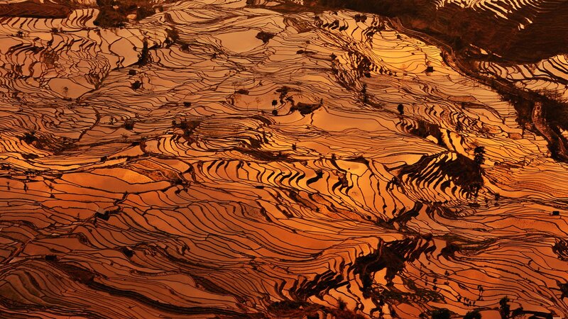 Terraced Rice Fields — Orange, Dramatic, Sunset