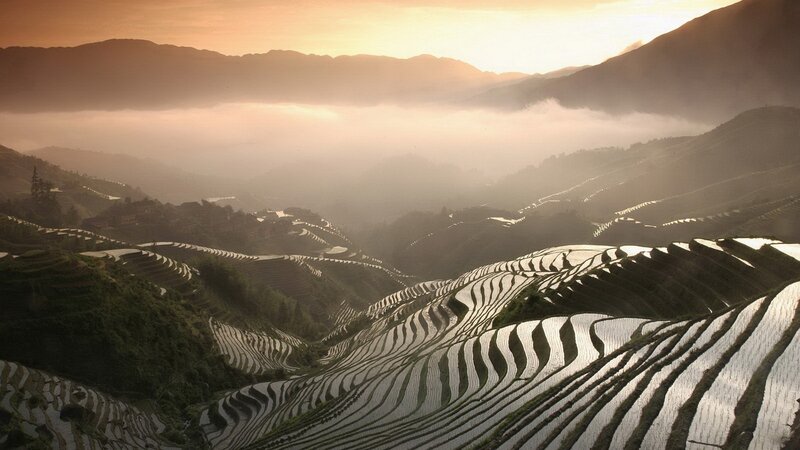 Terraced Rice Fields — Orange, Serene, Sunrise, Photograph