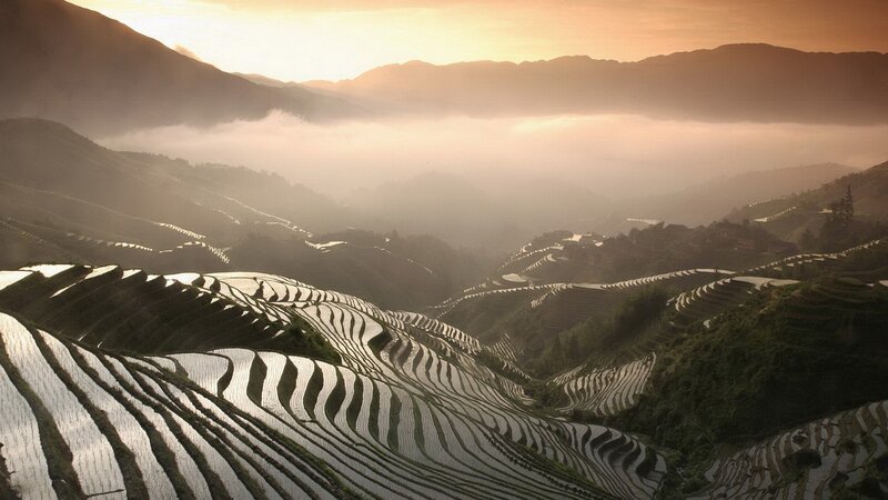 Terraced Rice Fields — Orange, Serene, Sunrise