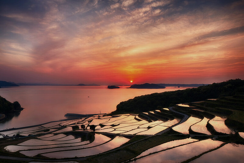 Terraced Rice Fields — Orange, Serene, Sunset, Photograph