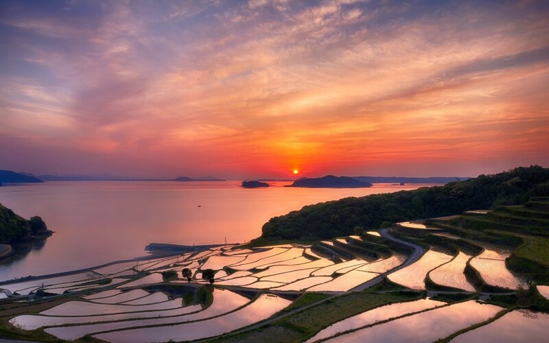 Terraced Rice Fields — Orange, Serene, Sunset