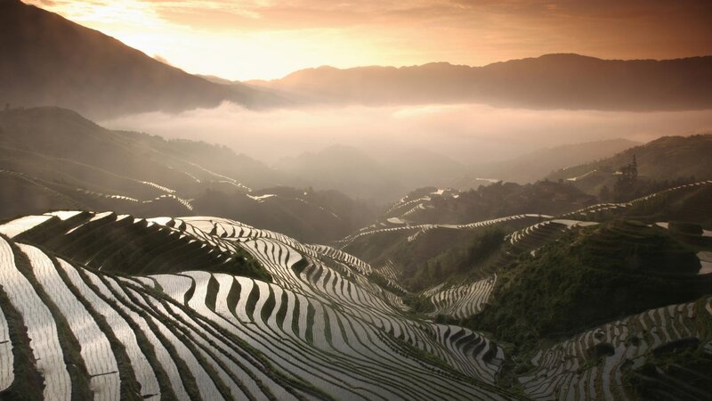 Terraced Rice Fields — Orange, Serene