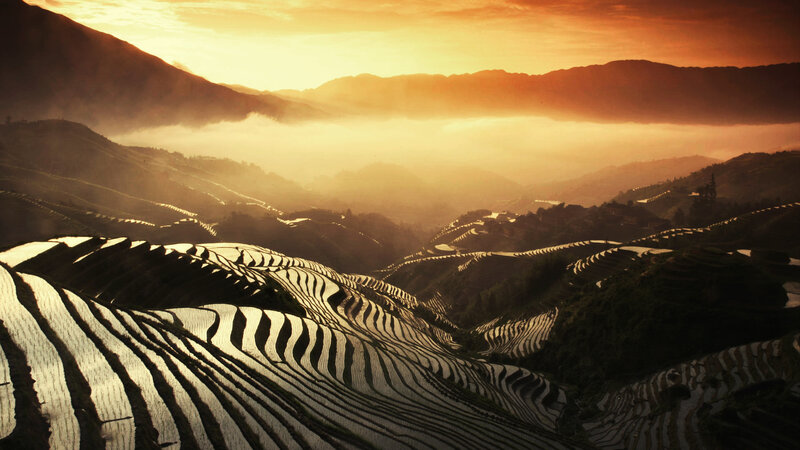 Terraced Rice Fields — Orange