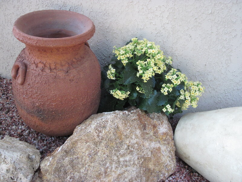 Terracotta Pot with Flowers