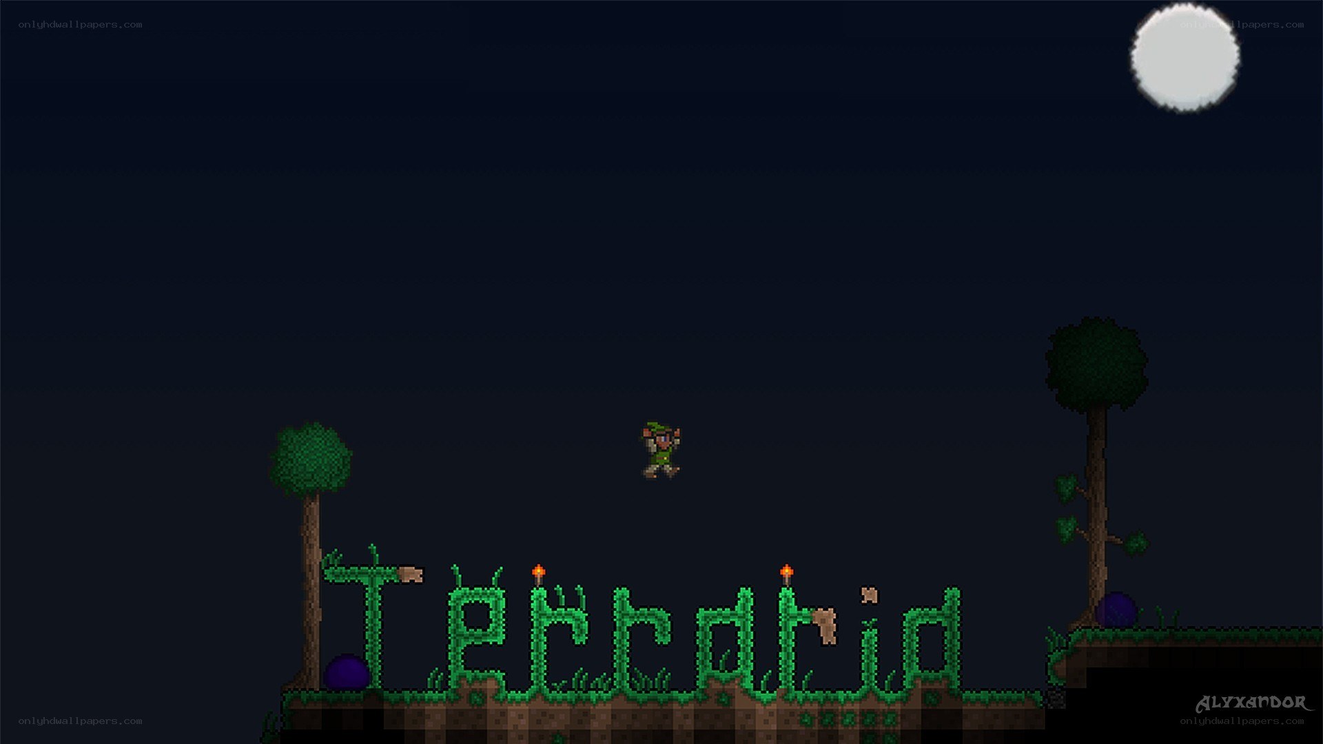 Terraria night scene