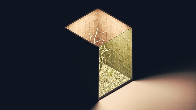 Terrarium in a Box