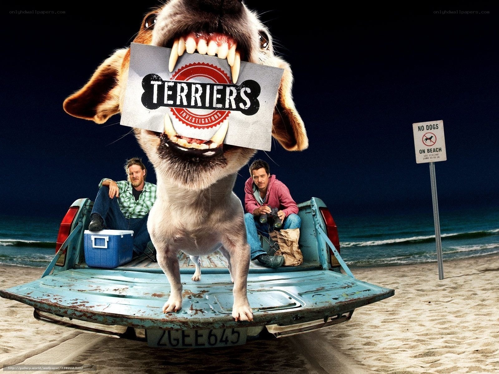 Terriers movie poster