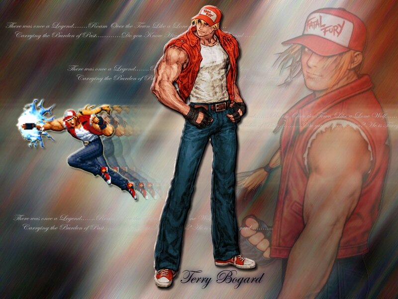 Terry Bogard Character