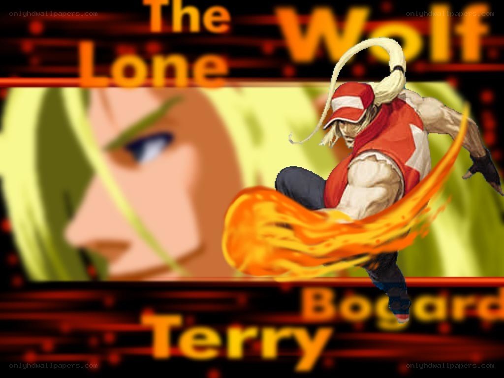 Terry Bogard in action