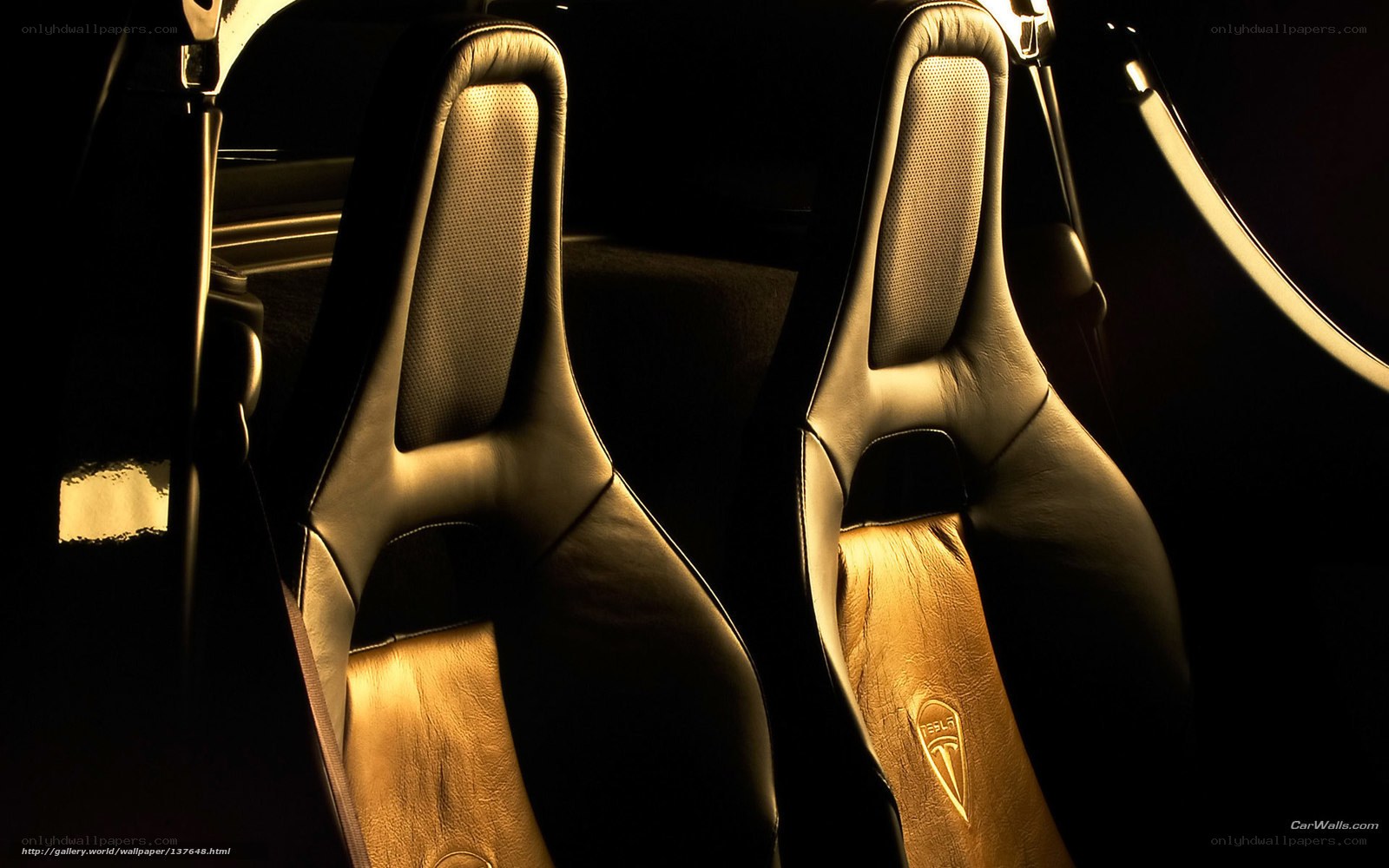 Tesla car interior seats