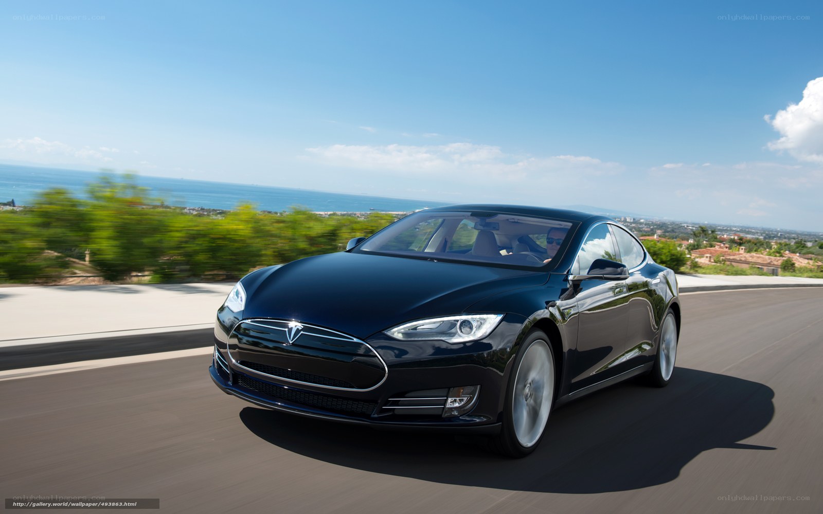 Tesla Model S driving on coastal road