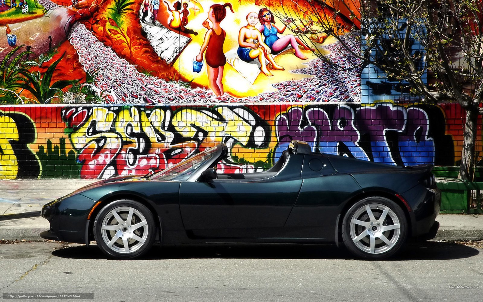 Tesla Roadster in front of mural