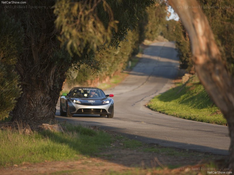 Tesla Roadster on a tree-lined road
