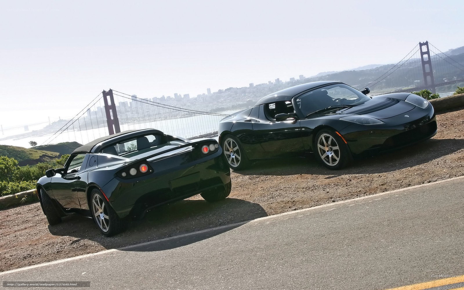 Tesla Roadsters by Golden Gate Bridge