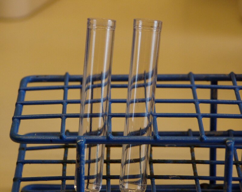 test tubes in a rack