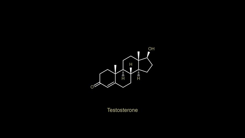 Testosterone Molecule