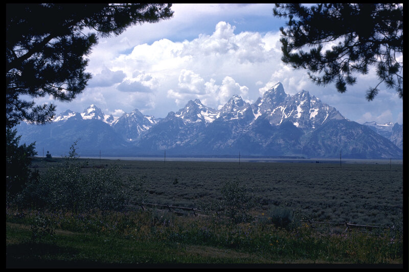 Teton Range from a meadow