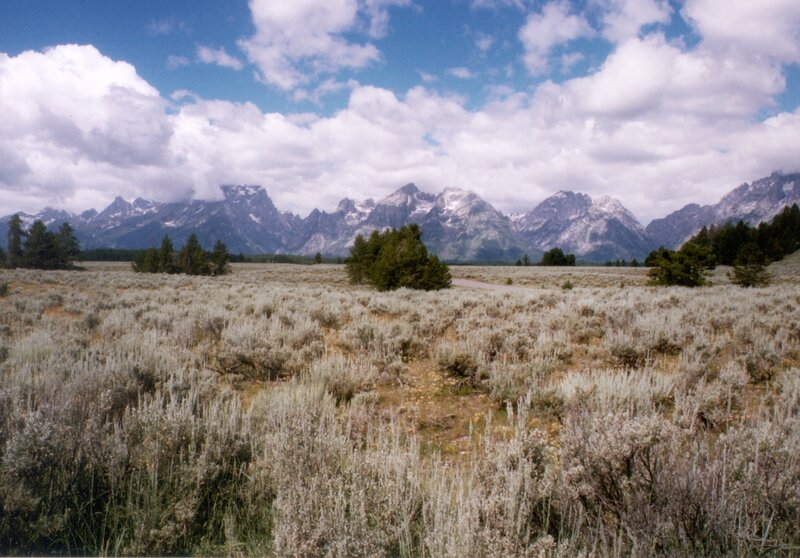 Teton Range landscape