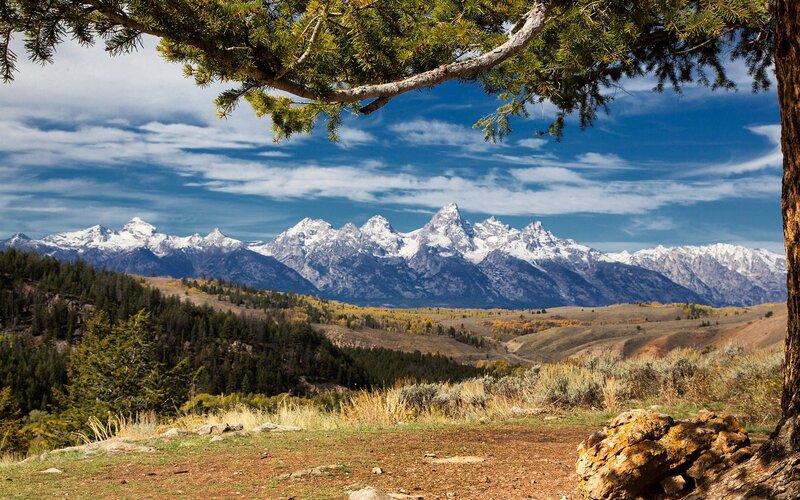 Tetons Mountain Range — Blue, Serene, Autumn, Photograph, Trees