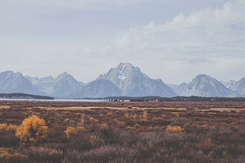 Tetons Mountain Range — Brown