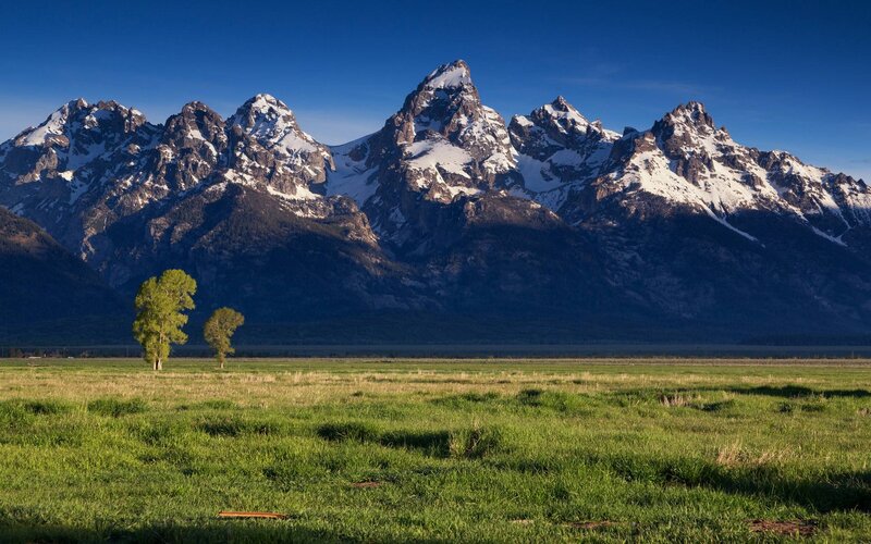 Tetons Mountains Landscape — Green