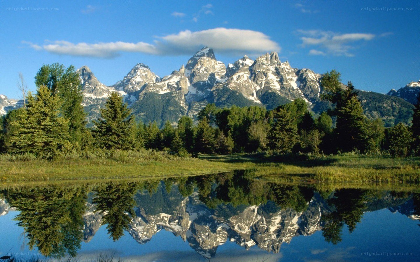 Tetons reflected in a calm lake