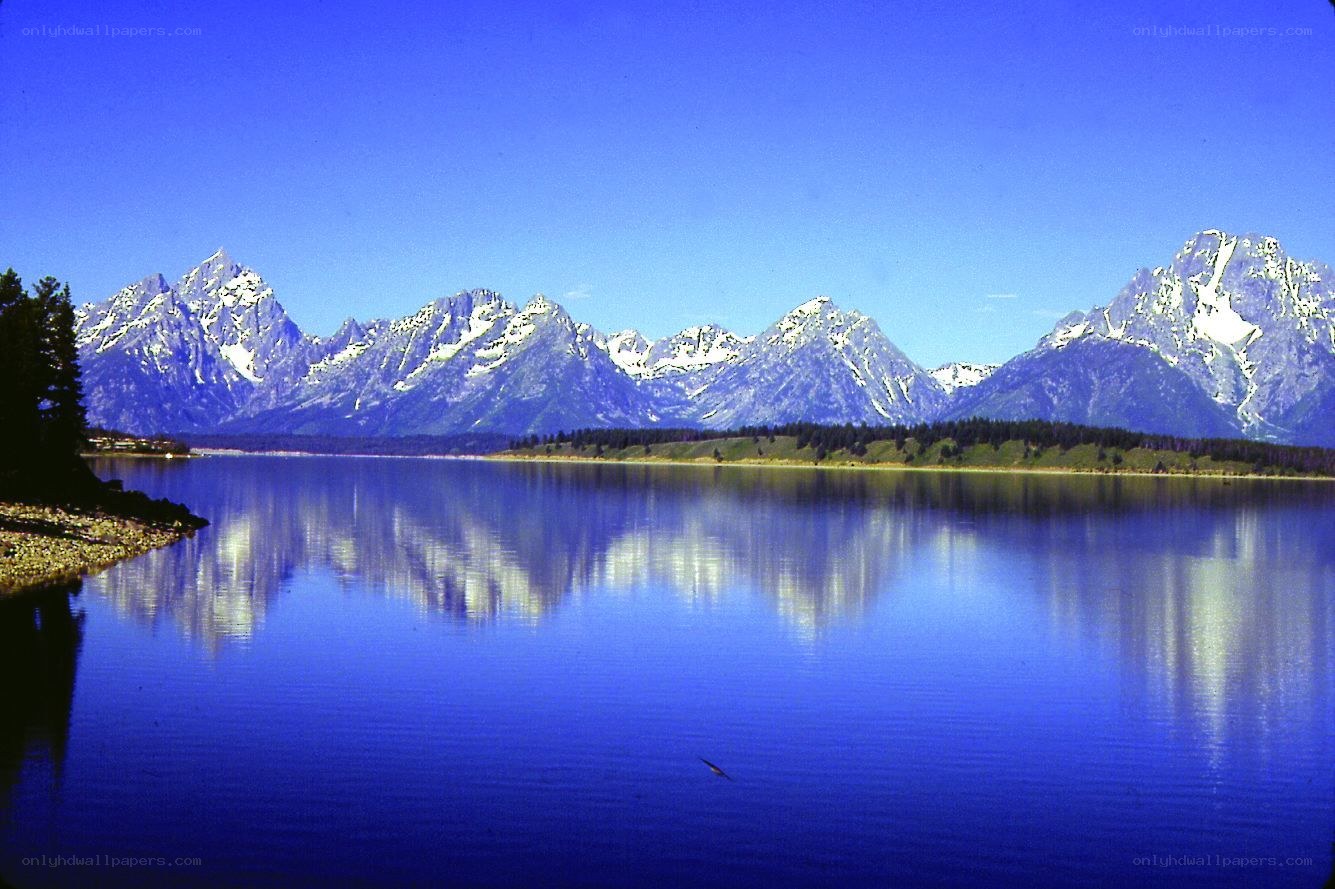 Tetons reflected in a lake