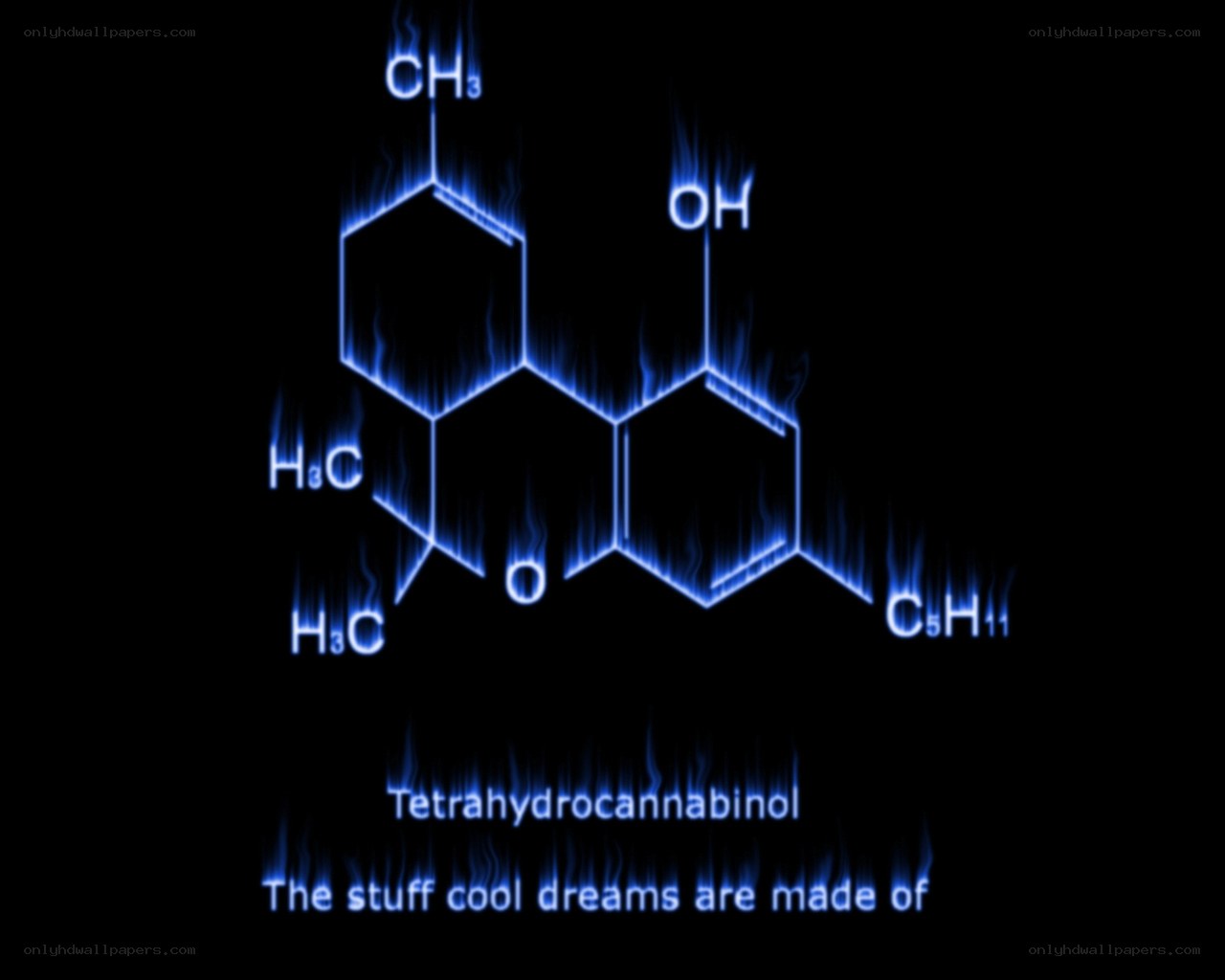 Tetrahydrocannabinol molecule