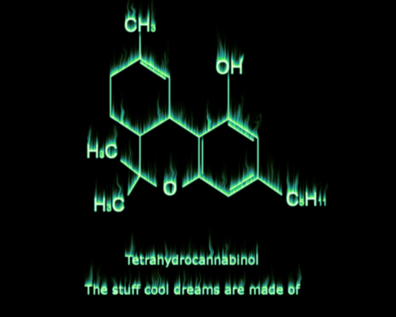 Tetrahydrocannabinol molecule