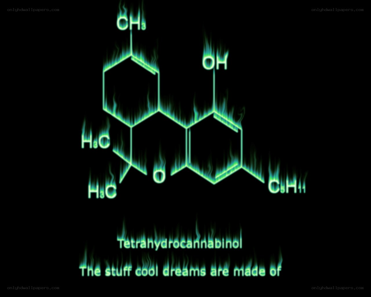 Tetrahydrocannabinol molecule