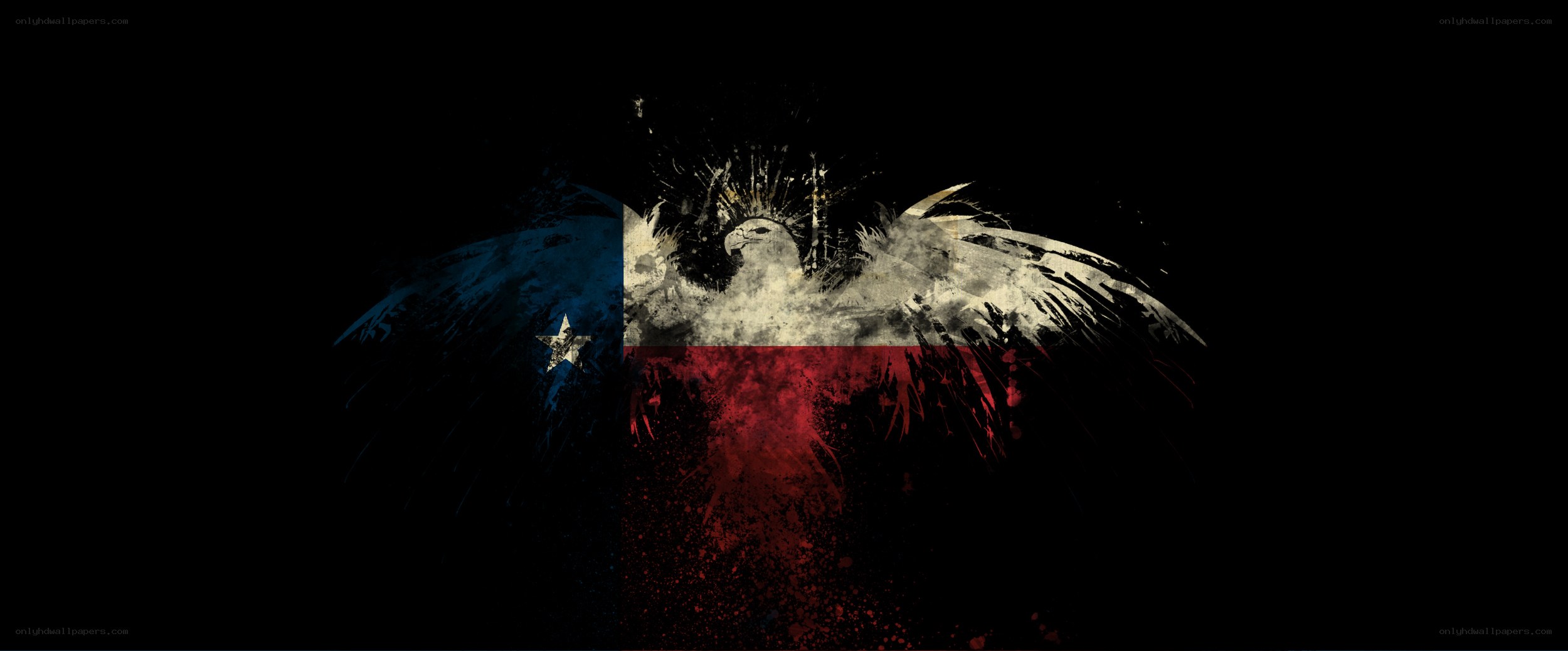 Texas flag with eagle design